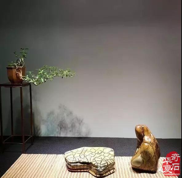 赏石的群体也会越来越丰富