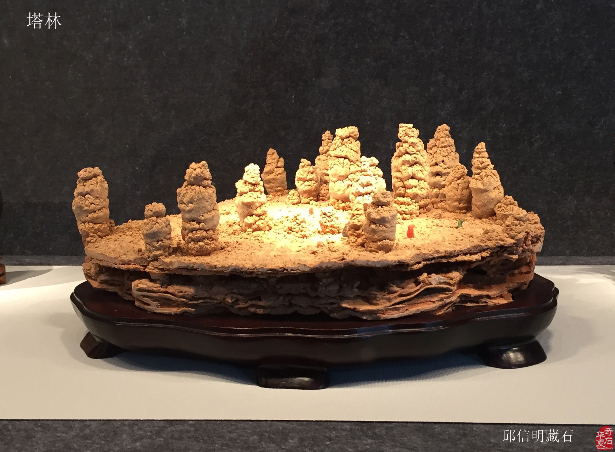  [“禅的世界•美的记忆” 邱信明藏石文化主题展] 拉开帷幕