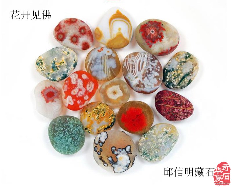  [“禅的世界•美的记忆” 邱信明藏石文化主题展] 拉开帷幕