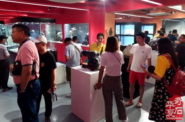 “首届名人名石暨“四大名石”邀请展”隆重开幕！