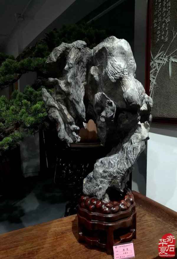 “首届名人名石暨“四大名石”邀请展”隆重开幕！