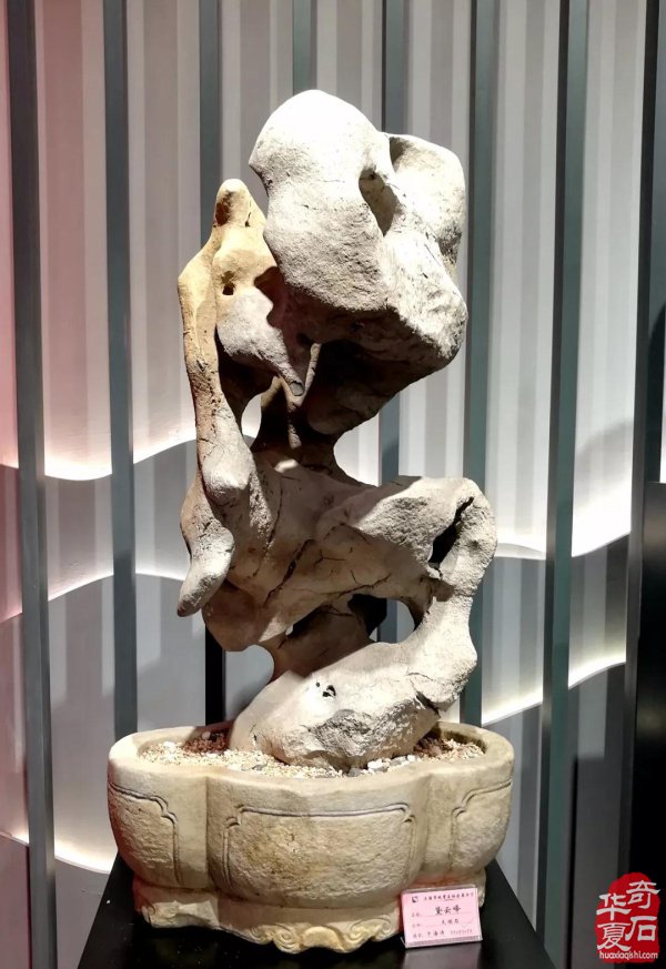 “首届名人名石暨“四大名石”邀请展”隆重开幕！