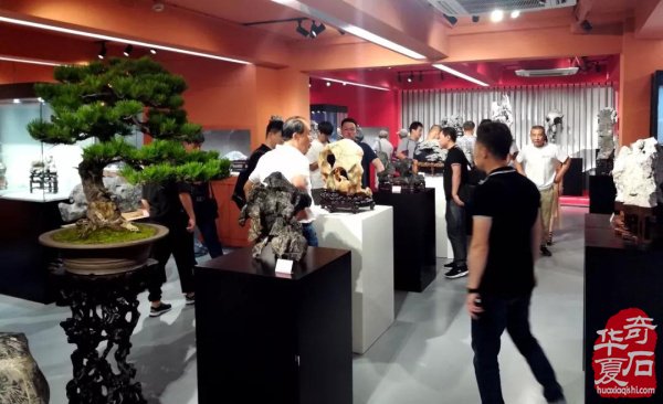 “首届名人名石暨“四大名石”邀请展”隆重开幕！
