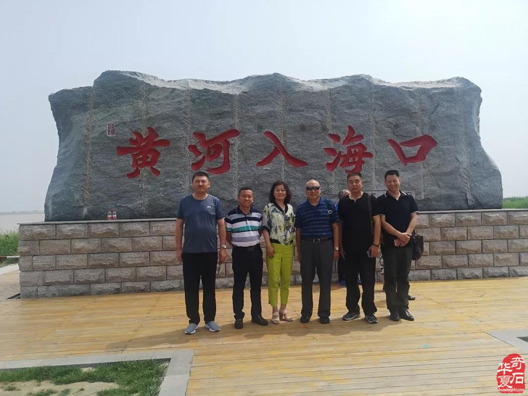 第八个全国赏石日暨2019首届中国东营国际赏石文化旅游博览会