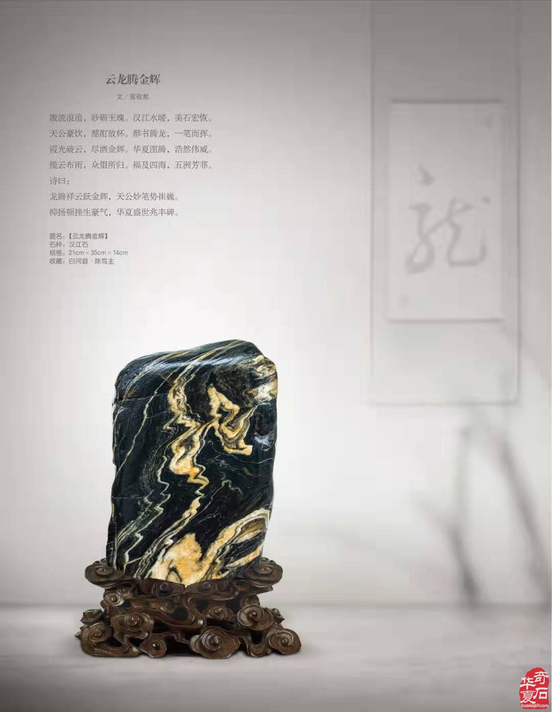 每日一石:汉江石《金龙在天》雅赏 图