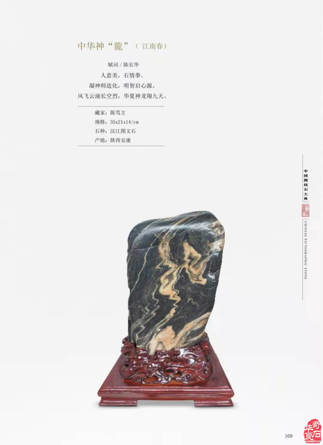 每日一石:汉江石《金龙在天》雅赏 图