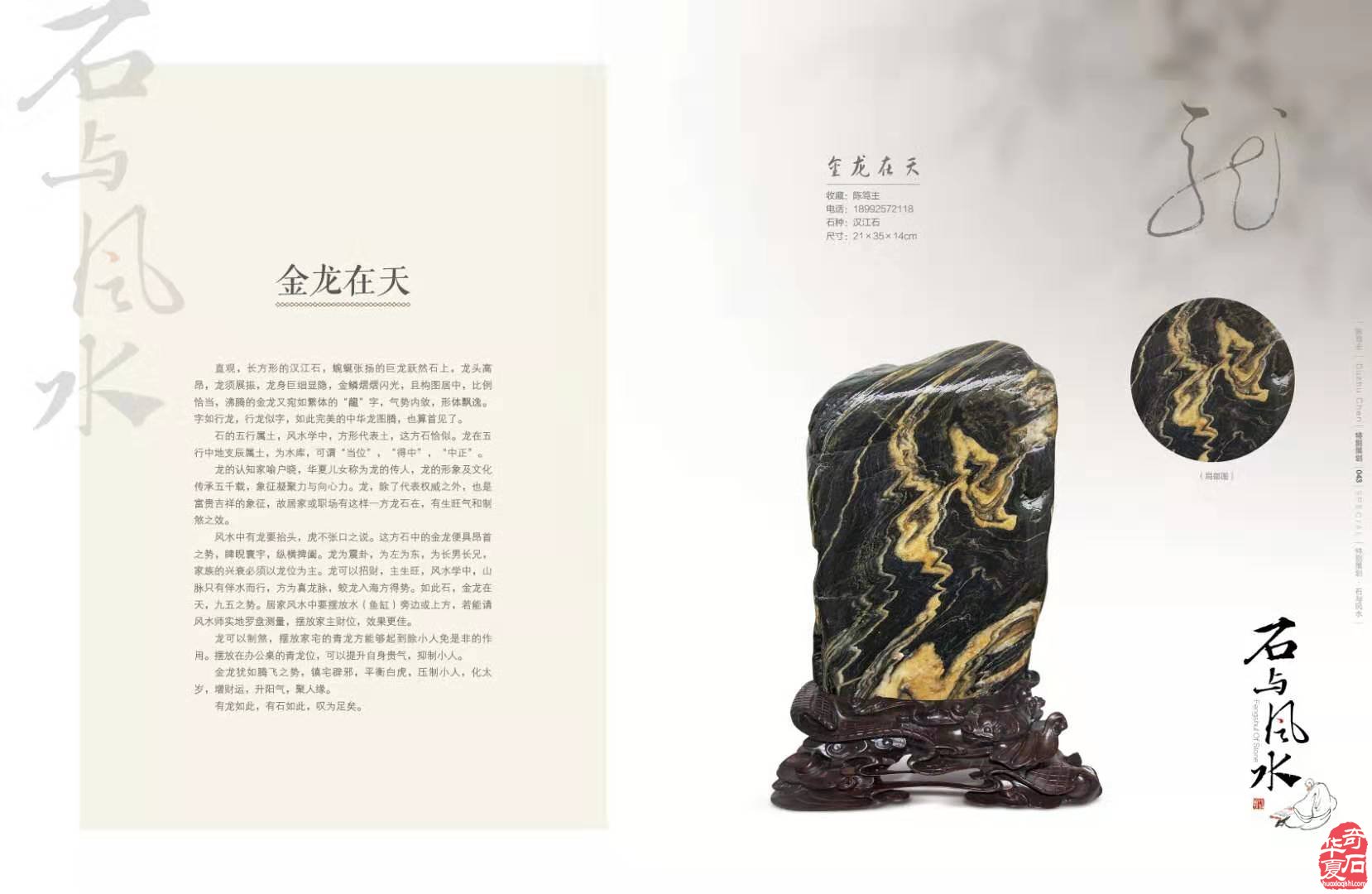 每日一石:汉江石《金龙在天》雅赏 图