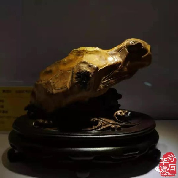 晋中石展：精品展美石抢先看 组图