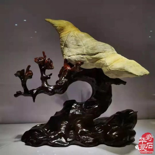 晋中石展：精品展美石抢先看 组图