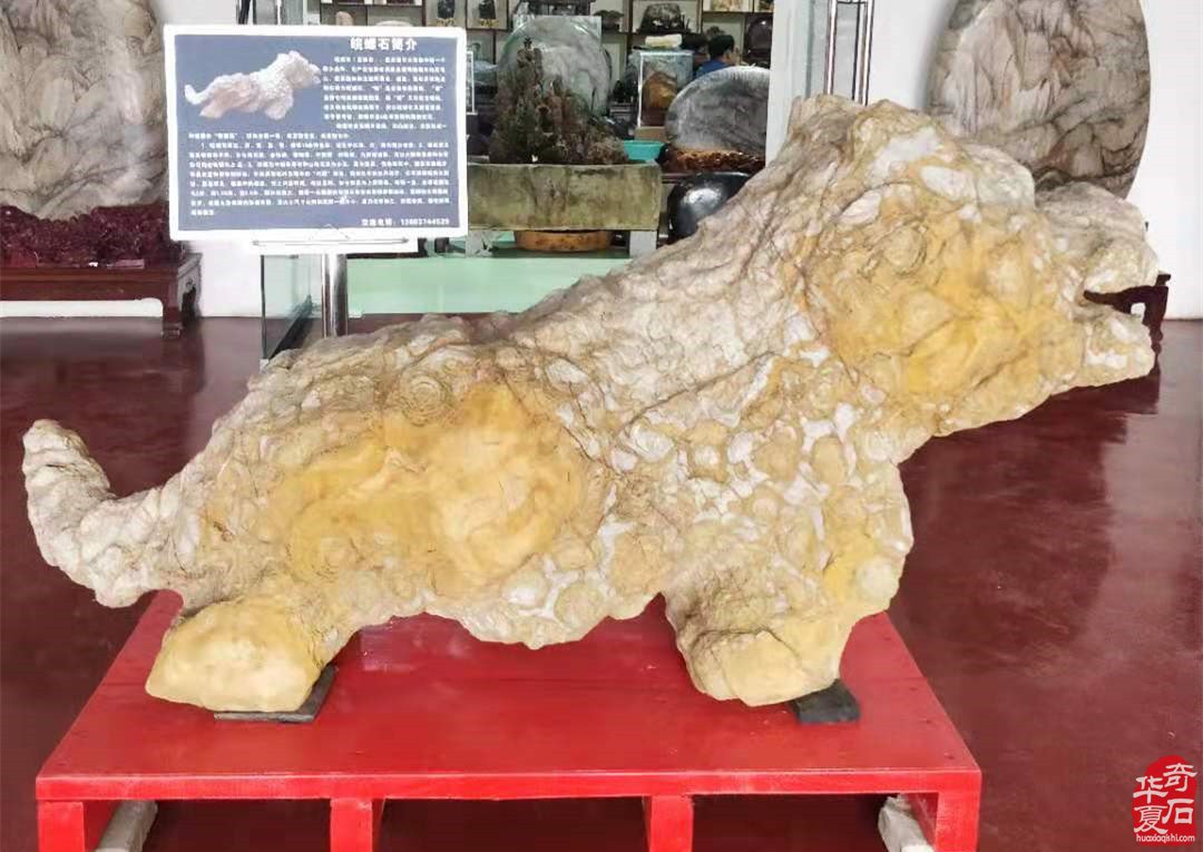晋中石展:精品展美石抢先看 组图