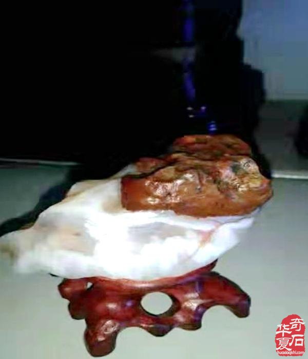 洛阳李祥义丨和300方奇石聊天漫话