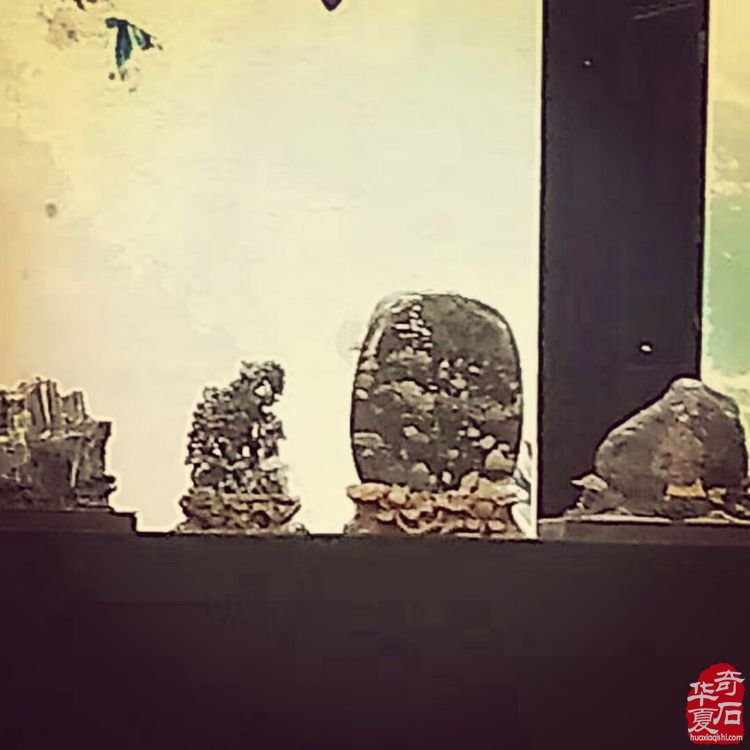 县委书记走进洛阳电视台演播厅深情讲述栾川独具特色的奇石美玉