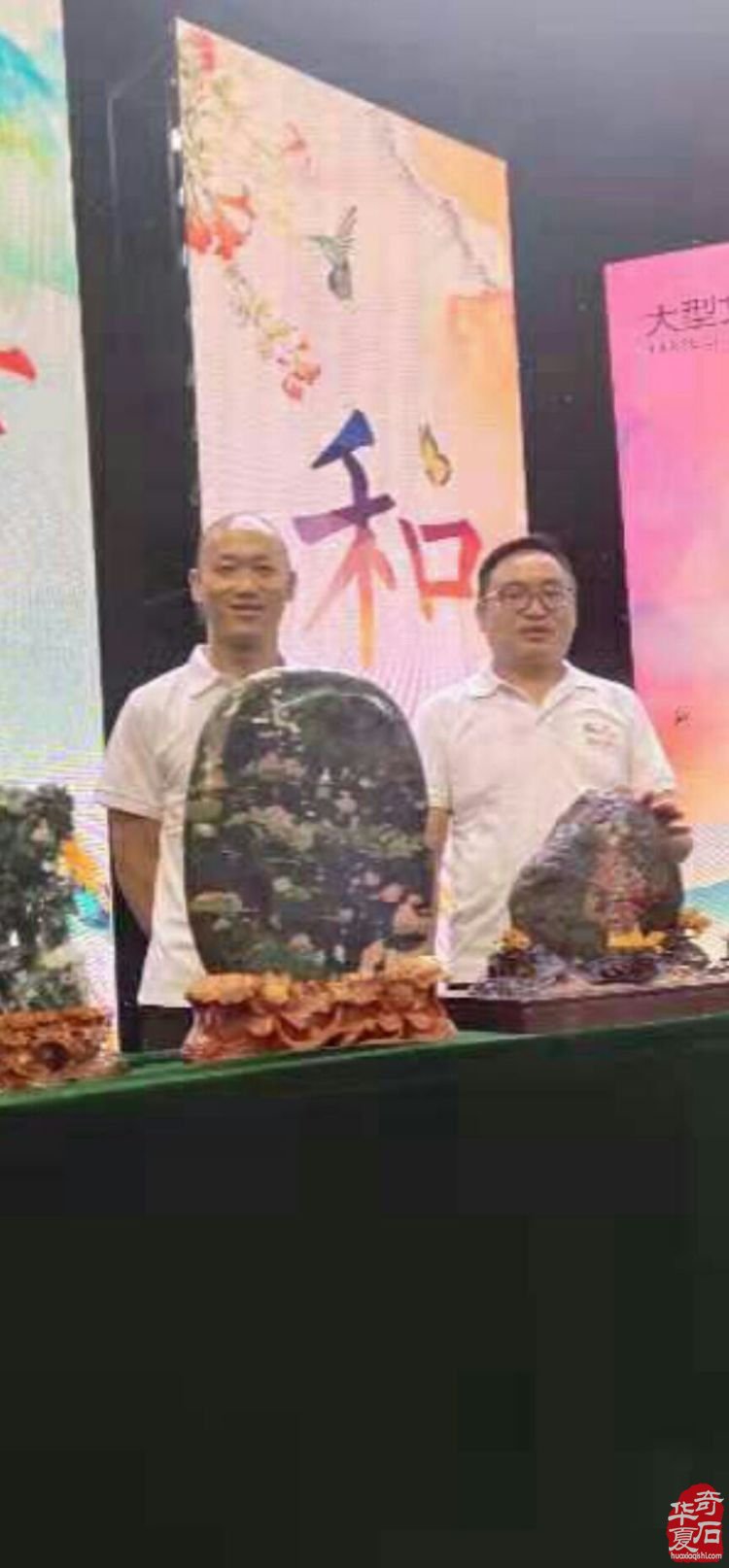 县委书记走进洛阳电视台演播厅深情讲述栾川独具特色的奇石美玉