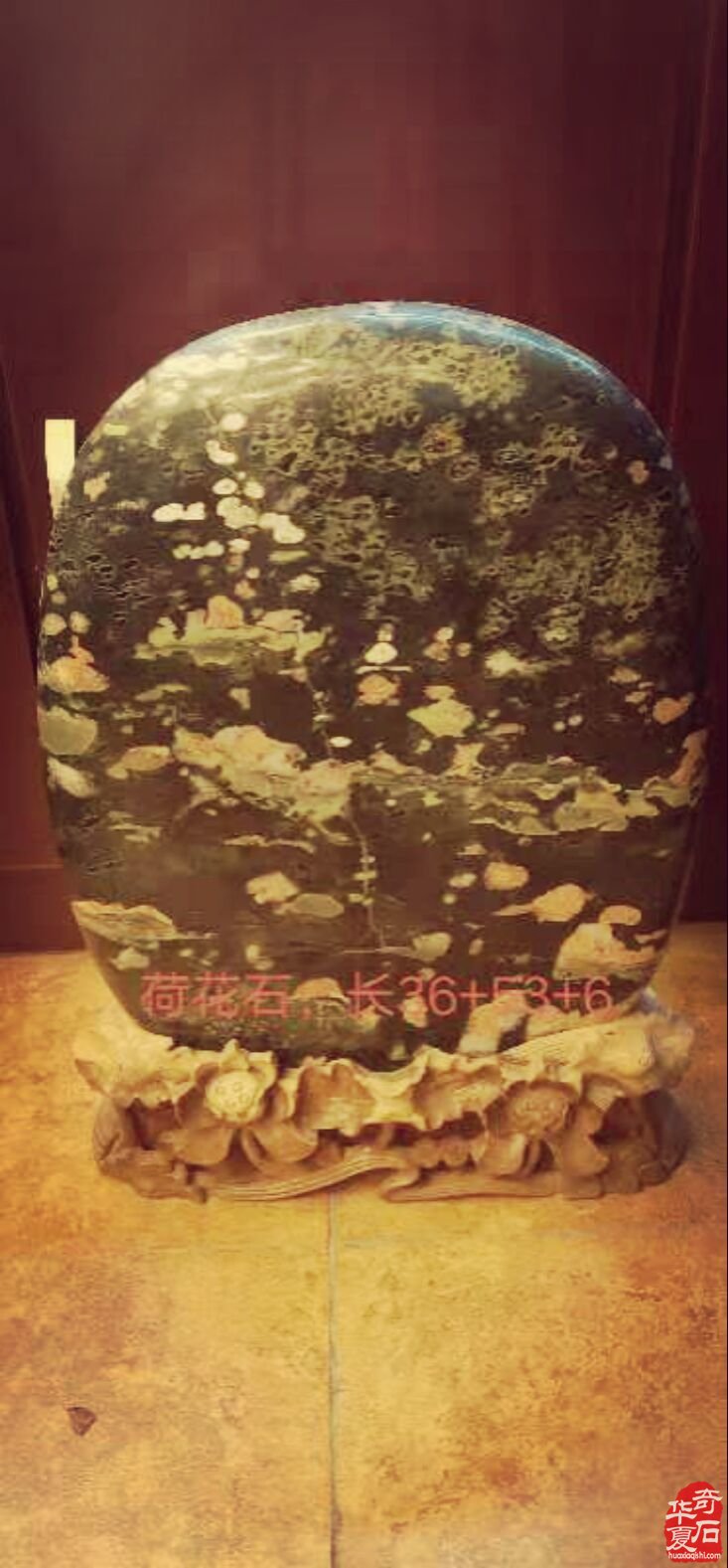 县委书记走进洛阳电视台演播厅深情讲述栾川独具特色的奇石美玉