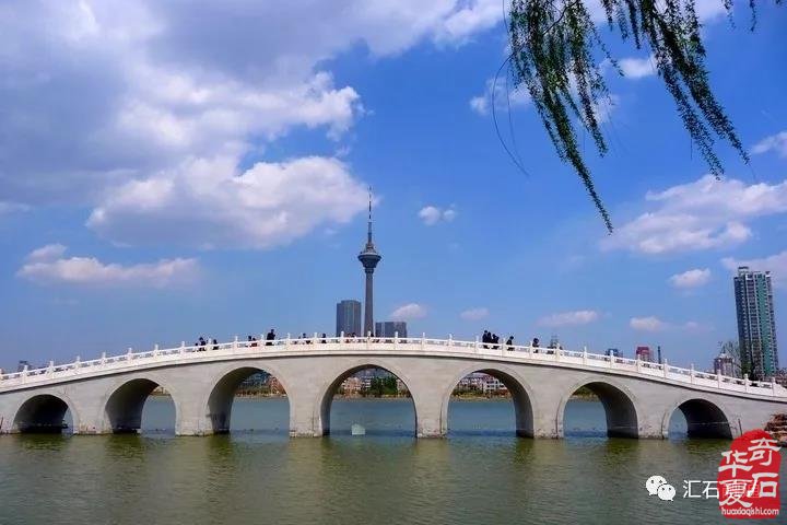 ​中国·天津|首届运河杯盆景赏石艺术展暨“2020石非石”海选【北方赛区】邀请函（10.18-10.27）