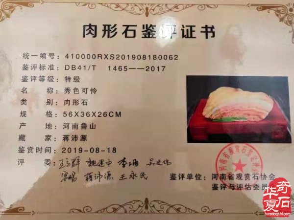 震撼发布：鲁山特级肉形石新鲜出炉 图