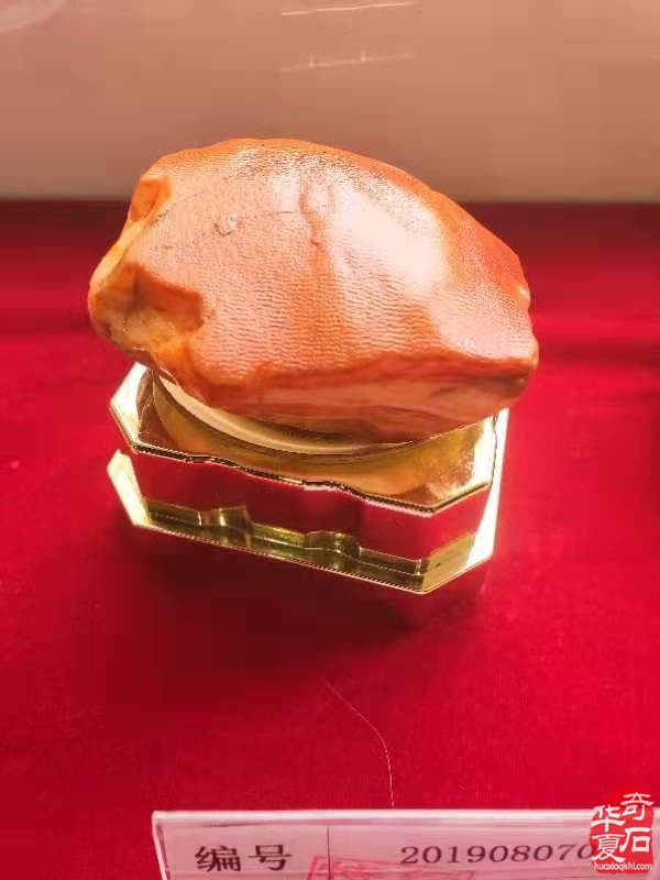 震撼发布：鲁山特级肉形石新鲜出炉 图