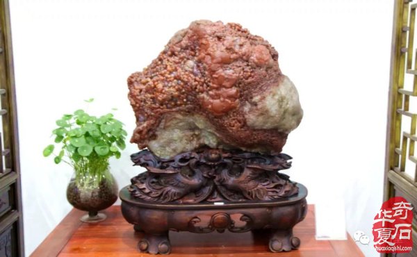 精彩提前看!阿拉善左旗 9月23日 国际大展!