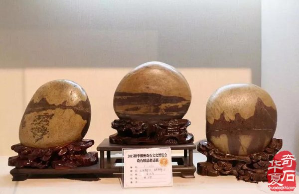 胸怀宽阔接纳不同,是赏石的最高境界