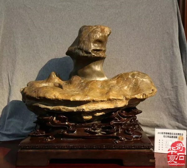 胸怀宽阔接纳不同,是赏石的最高境界
