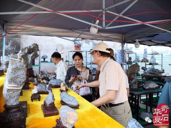 热烈祝贺娄底首届根石艺术博览会盛大开幕