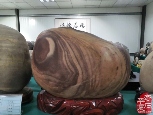 热烈祝贺河南省观赏石协会黄河石专委会成立