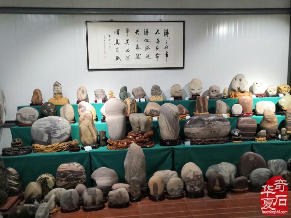 热烈祝贺河南省观赏石协会黄河石专委会成立