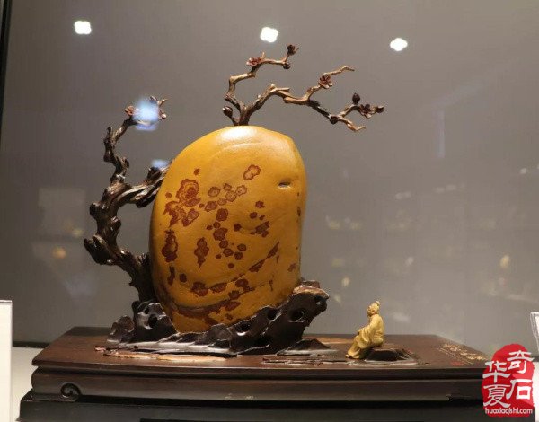 2019首届中国（杭州）赏石艺术节盛大开幕