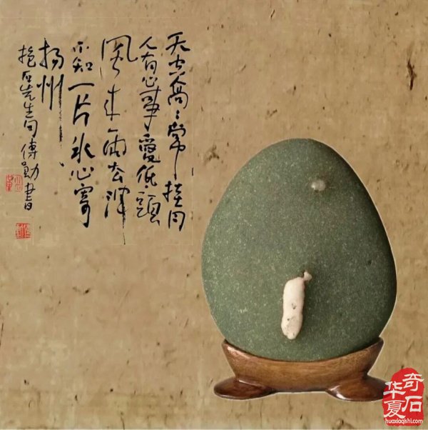 赏石的核心,是发现的乐趣