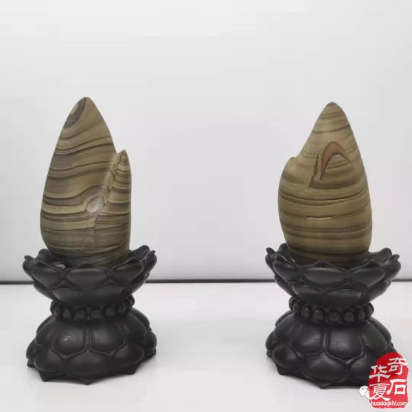 中国天津首届运河杯赏石艺术展精品美石欣赏 