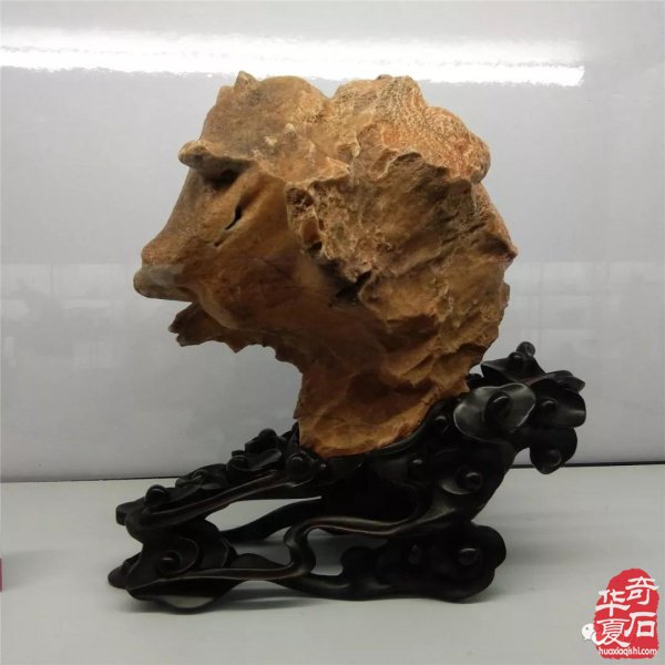 中国天津首届运河杯赏石艺术展精品美石欣赏 