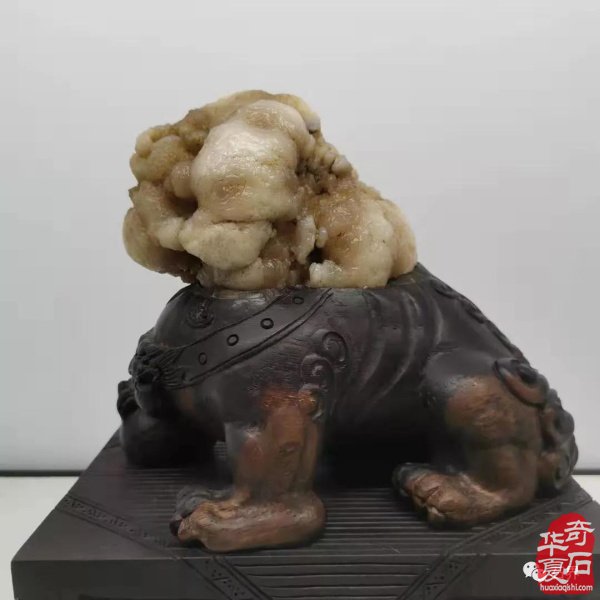 中国天津首届运河杯赏石艺术展精品美石欣赏 