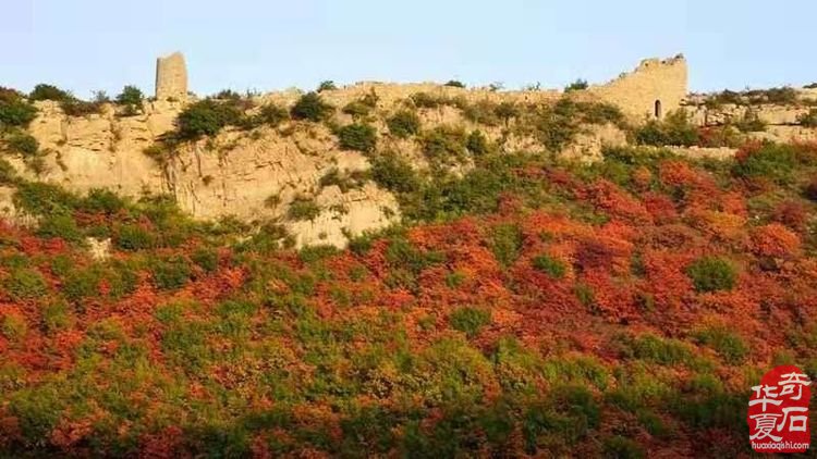 2019中国（平顶山）第10届奇石.玉器水晶珠宝文化博览会邀请函