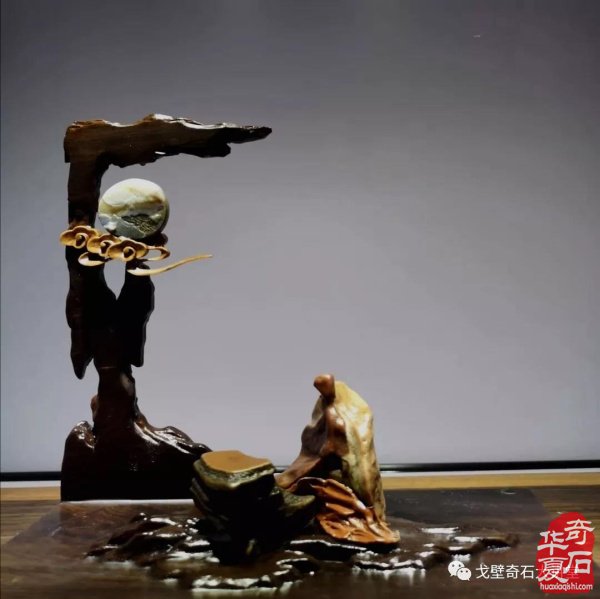石商，多历练谨防鸡飞蛋打 图