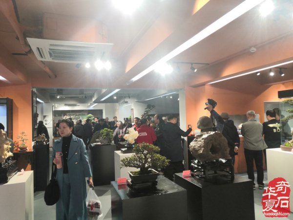 “海上石语”现代赏石暨小品石邀请展隆重开幕