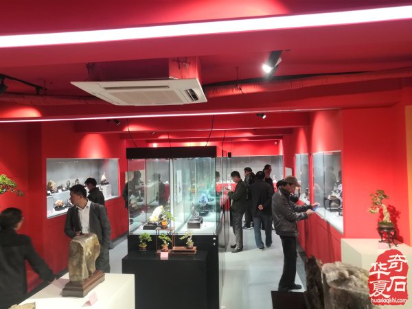 “海上石语”现代赏石暨小品石邀请展隆重开幕