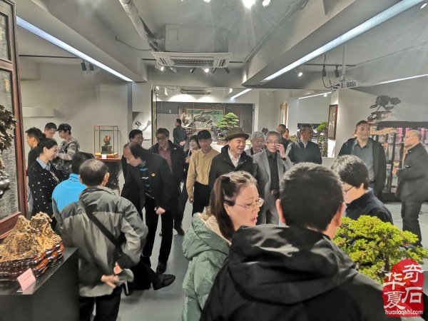 “海上石语”现代赏石暨小品石邀请展隆重开幕