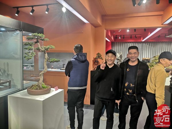 “海上石语”现代赏石暨小品石邀请展隆重开幕