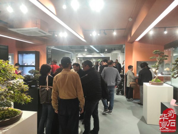 “海上石语”现代赏石暨小品石邀请展隆重开幕