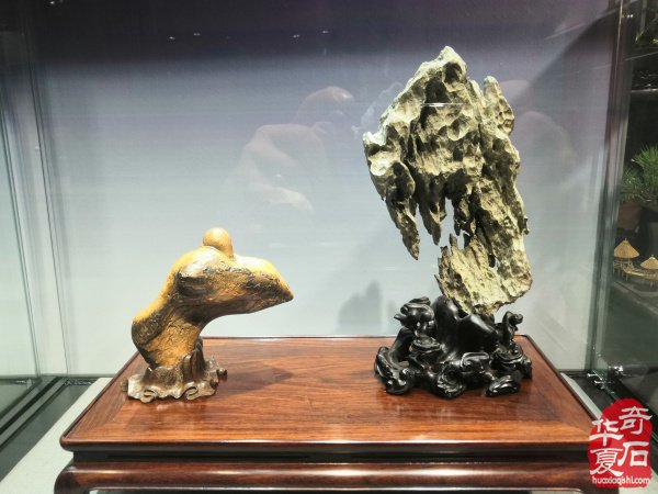 “海上石语”现代赏石暨小品石邀请展隆重开幕
