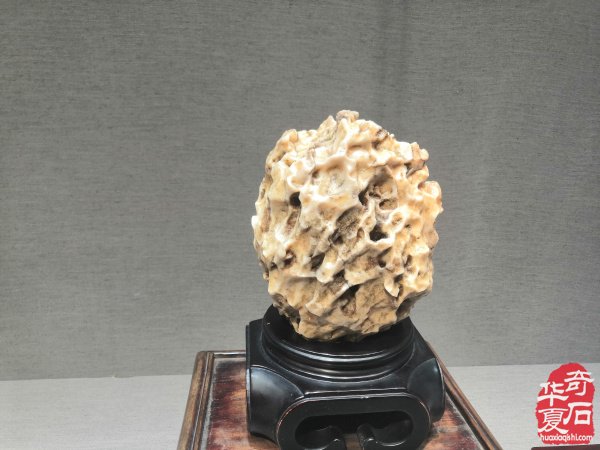 “海上石语”现代赏石暨小品石邀请展隆重开幕