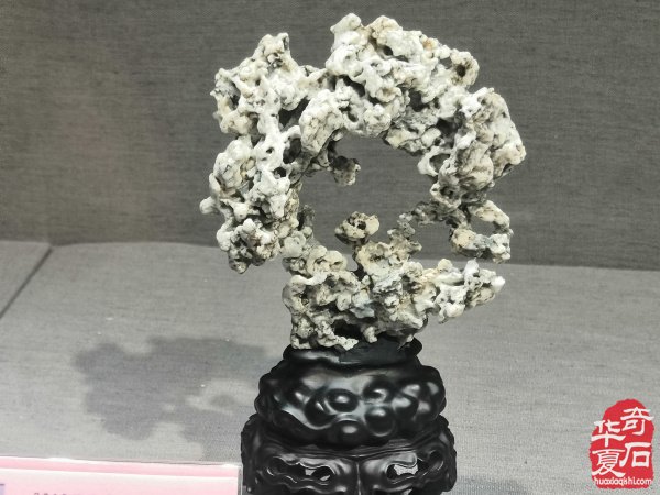 “海上石语”现代赏石暨小品石邀请展隆重开幕