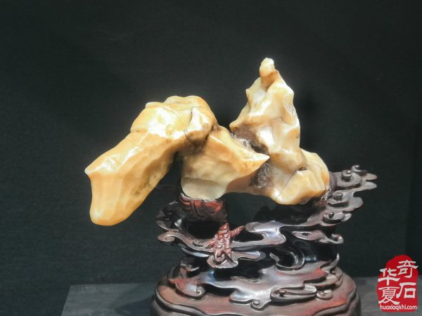 “海上石语”现代赏石暨小品石邀请展隆重开幕