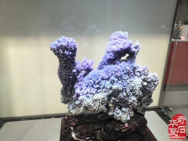 “海上石语”现代赏石暨小品石邀请展隆重开幕