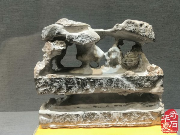 “海上石语”现代赏石暨小品石邀请展隆重开幕