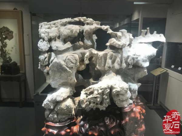 “海上石语”现代赏石暨小品石邀请展隆重开幕