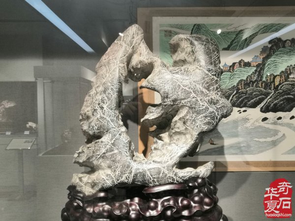 “海上石语”现代赏石暨小品石邀请展隆重开幕
