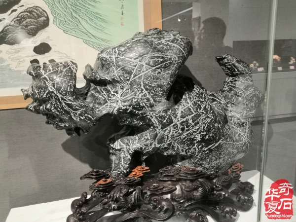 “海上石语”现代赏石暨小品石邀请展隆重开幕