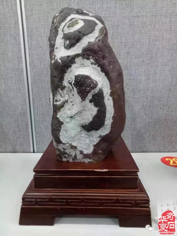 偃师市第七届奇石展在张海书法艺术馆开幕