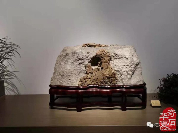 石界喜讯 苏州太湖水石艺术馆开馆啦
